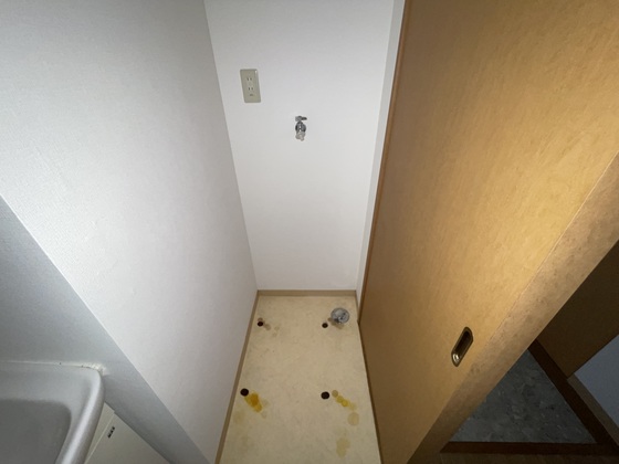 エクセラン・ステゥディオ