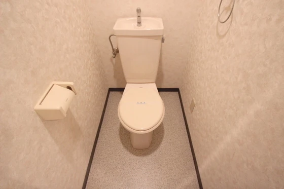 フェニックス保田