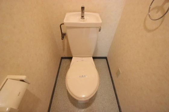 フェニックス保田