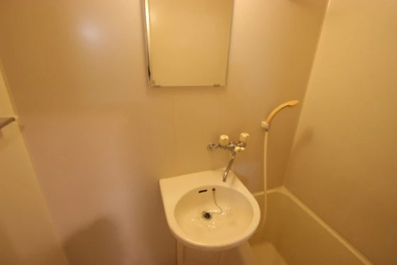 フェニックス保田