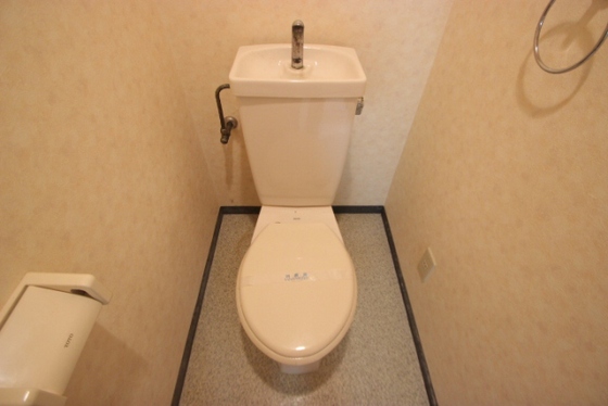 フェニックス保田