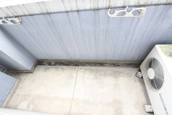 フェニックス保田