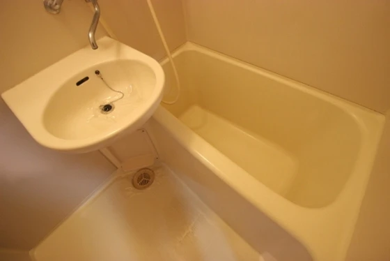 フェニックス保田