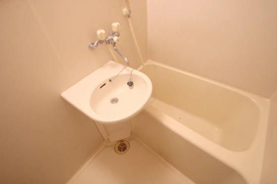 フェニックス保田