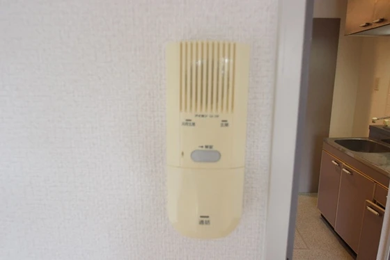 フェニックス保田