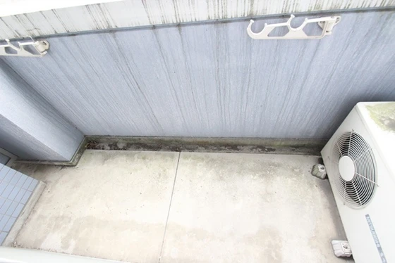 フェニックス保田