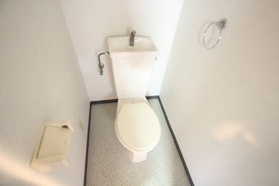 フェニックス保田