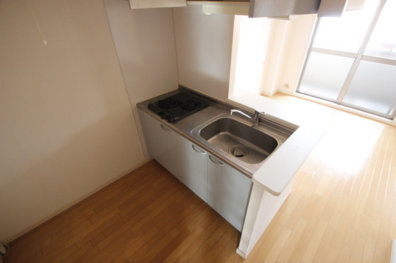 ヴィランス大塚Ⅱ