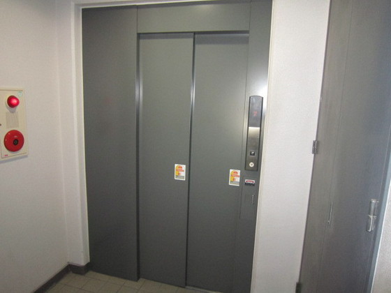 リヴレタカスギ