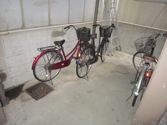 リヴレタカスギ