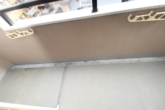 ノーブル平和大通り