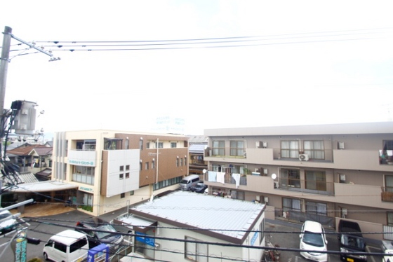 タイガーウイングビル