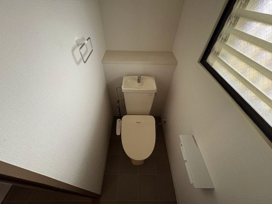 タイガーウイングビル