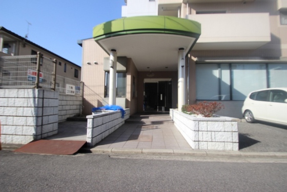 タイガーウイングビル