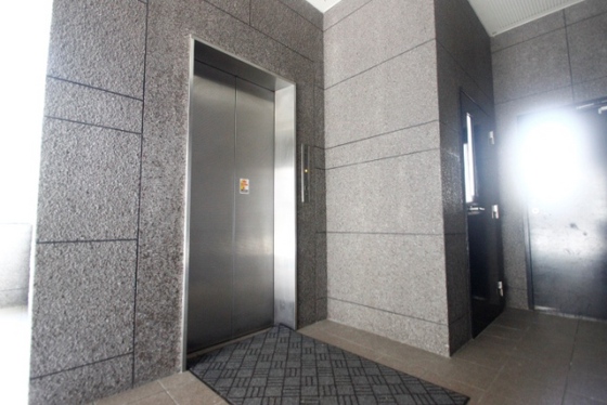 タイガーウイングビル