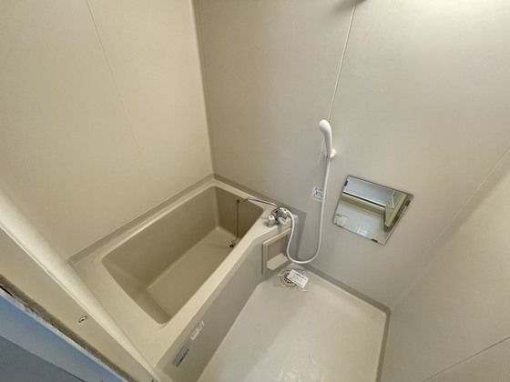 ヴィゲール庚午