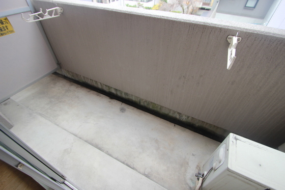 フローラ大手町