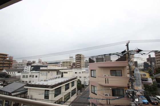 パステルクボ16