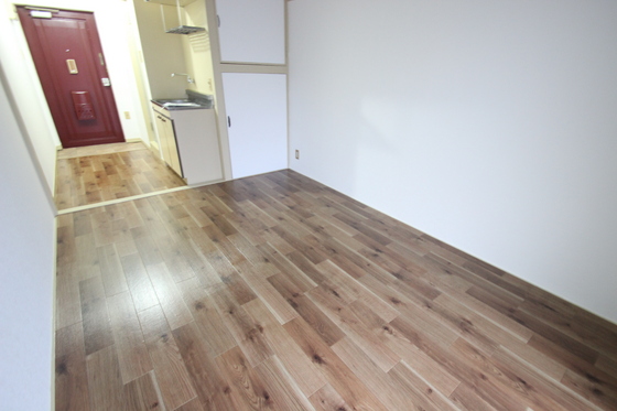 パステルクボ16