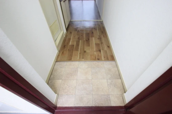 パステルクボ16