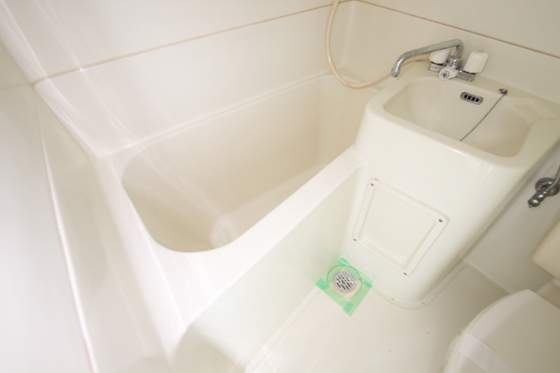 パステルクボ16