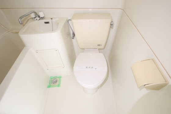 パステルクボ16