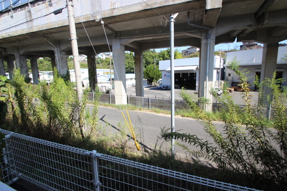 エクセレンテグリシーナⅠ