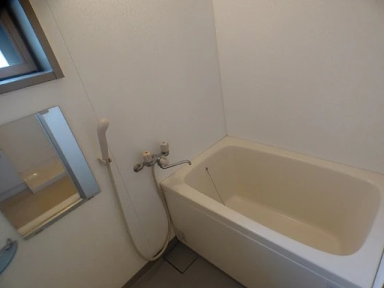 ロジュマン皆実