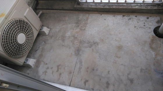 メゾンダイアナイン皆実