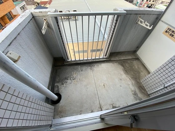 メゾンダイアナイン皆実