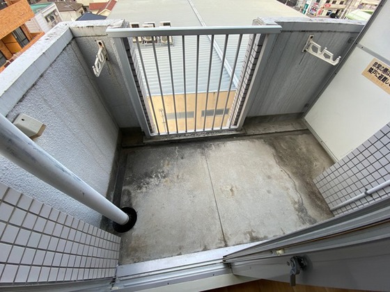 メゾンダイアナイン皆実