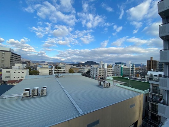 メゾンダイアナイン皆実