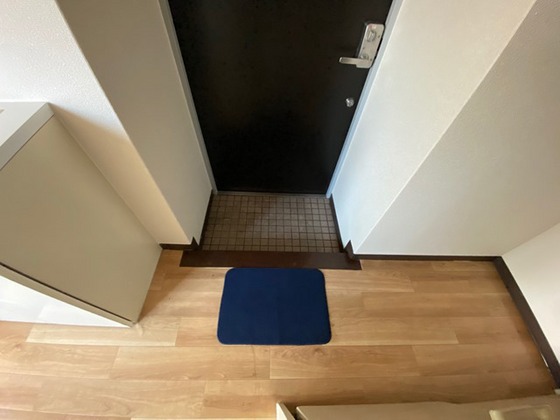 メゾンダイアナイン皆実