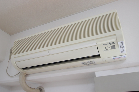 フローラル茶柱