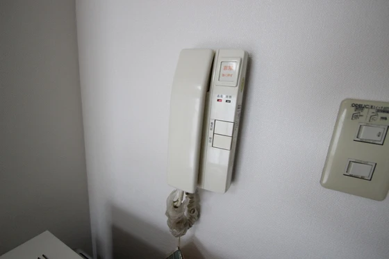 フローラル茶柱