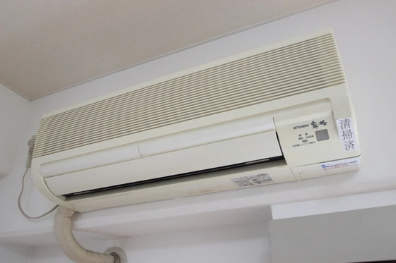 フローラル茶柱