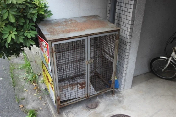 サンシャトウ白島