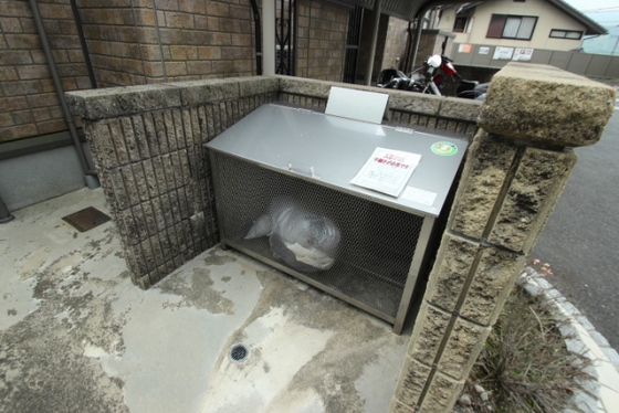 サンフィールド