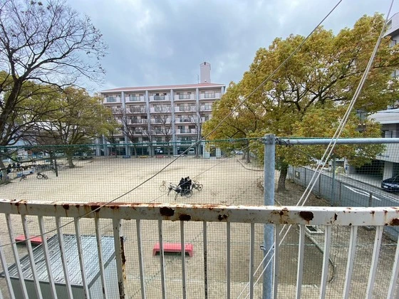 パステルクボ12