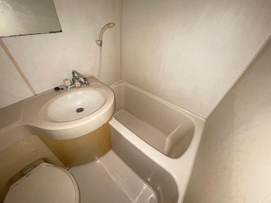 パレグレース和田