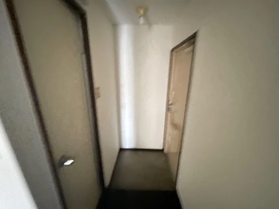 パレグレース和田