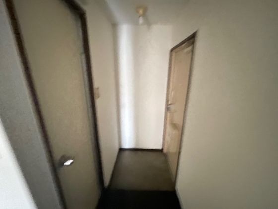 パレグレース和田