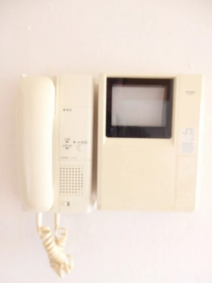 ニューコスモス