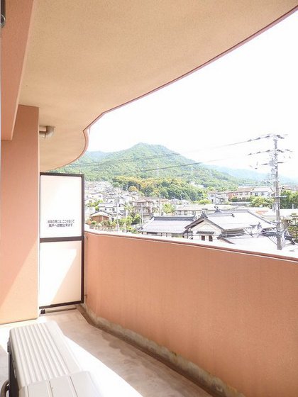 ニューコスモス