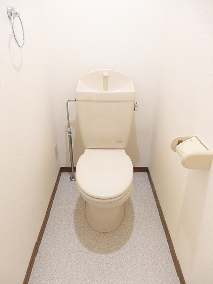 ニューコスモス