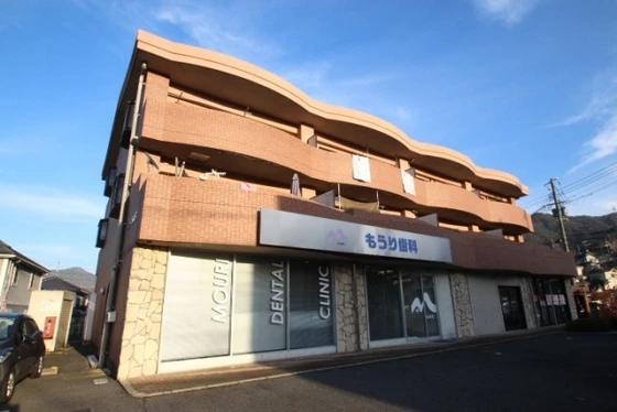 ニューコスモス