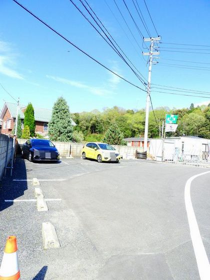 ニューコスモス