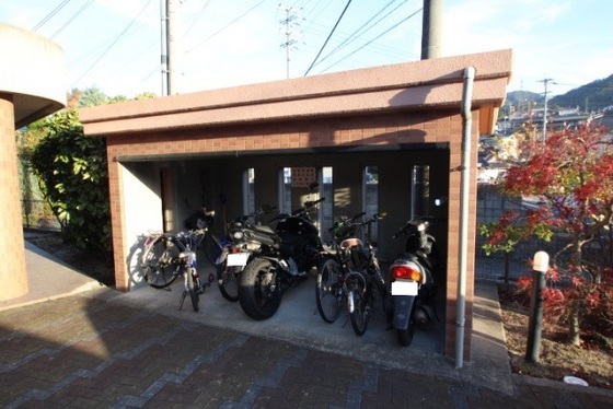 ニューコスモス