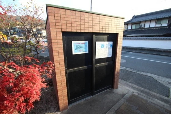 ニューコスモス