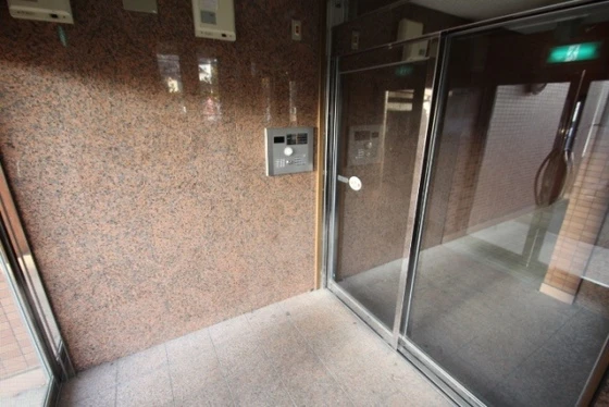 ニューコスモス